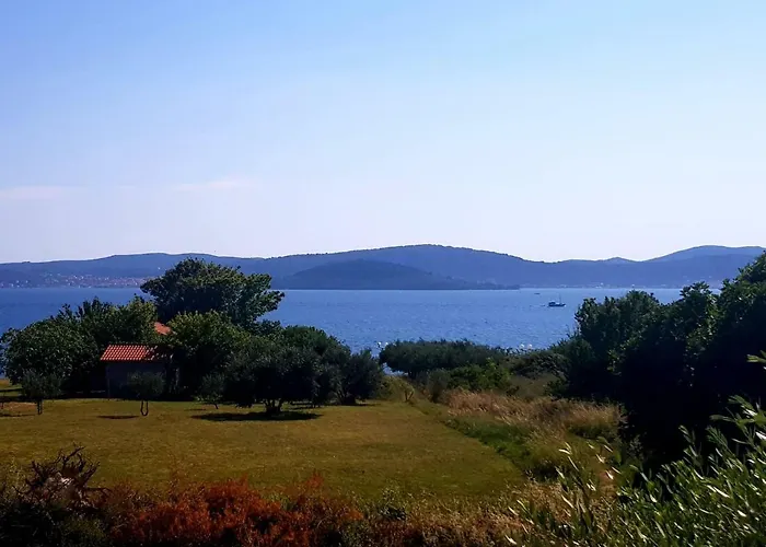 Luca Zadar