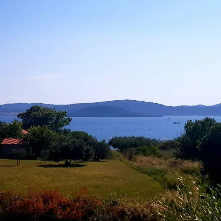 Luca Zadar